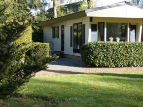 Chalet nr 10 op Bospark Trimunt